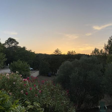 Natur & Jasmin Chambres D'Hotes Naturistes En Provence Lorgues Eksteriør billede