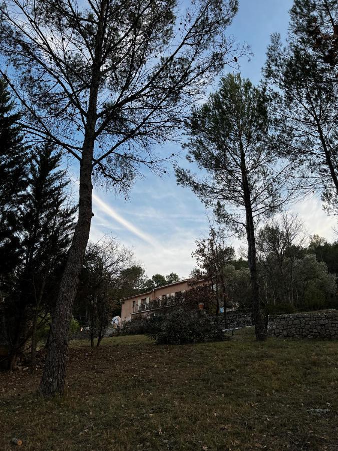 Natur & Jasmin Chambres D'Hotes Naturistes En Provence Lorgues Eksteriør billede