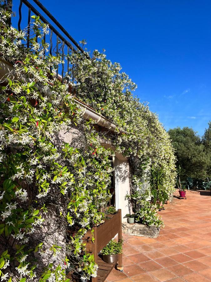 Natur & Jasmin Chambres D'Hotes Naturistes En Provence Lorgues Eksteriør billede